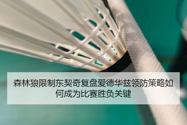 森林狼限制东契奇复盘爱德华兹领防策略如何成为比赛胜负关键